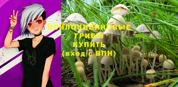 mdpv Абдулино