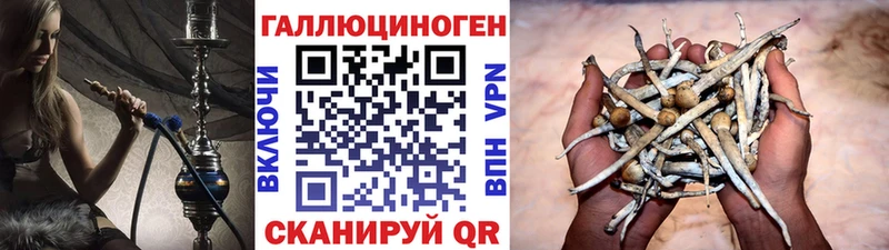 Галлюциногенные грибы прущие грибы  блэк спрут онион  Мирный 