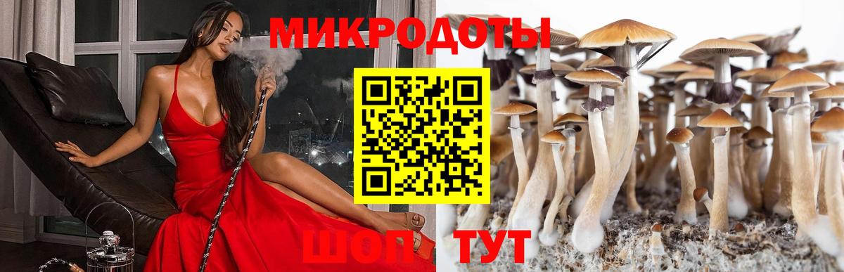 Мирный  хочу   Вход с VPN  Галлюциногенные грибы ЛСД  Псилоцибиновые грибы MAGIC MUSHROOMS 