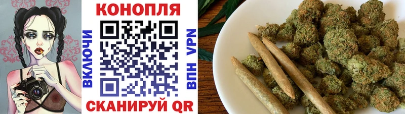 Конопля индика  купить наркотики цена  Мирный 